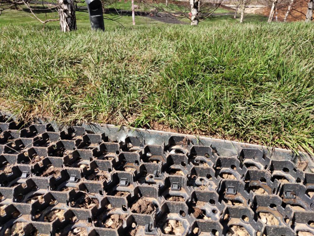 Борт СМАРТ на набивной дорожке