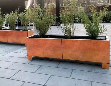 Озеленение